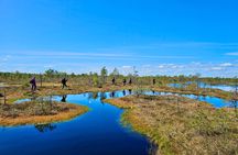 Ķemeri Bogs Adventure: Explore Wetlands In Bog Shoes