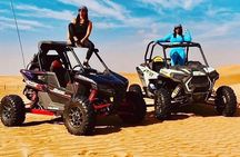 Family Car Buggy Sharm El Sheikh