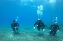 South of Tenerife : DSD Scuba Diving for beginners, Adeje