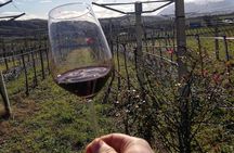 Winery Tour and Tasting in Abruzzo