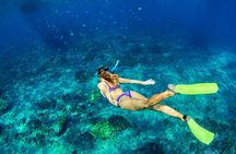 Bali Blue Lagoon Snorkeling and Waterfall Day Tour with Lunch
