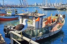 Private Tour in Punta del Este