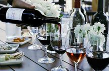 Icon Wine & Food Pairing at Williamson Wines in Healdsburg