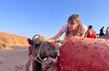 Agafay Desert Overnight:Camel Ride, Dinner Show & Basic Camp Stay