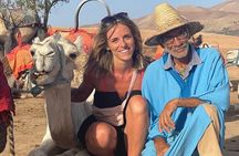 Agafay Desert Overnight:Camel Ride, Dinner Show & Basic Camp Stay