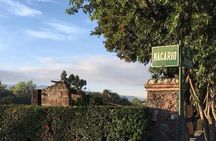 Practice your Spanish and let's go hiking!
