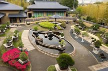 Private Omiya Bonsai Village Tour with Licensed Guide 