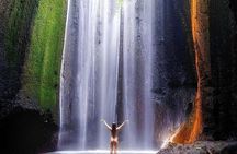 Discover Ubud Top Attractions: Rice Terrace & Waterfalls Tour