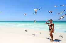 Tour in Holbox with Transportation and Lunch