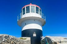 Half day Cape of good Hope, penguins from cape Town sharing group