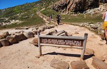 Half day Cape of good Hope, penguins from cape Town sharing group