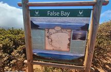 Half day Cape of good Hope, penguins from cape Town sharing group