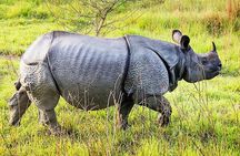 Chitwan 2 Nights All Inclusive Jungle Safari Tour