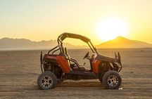 Desert Spider Car Buggy Experience With Transfer - Marsa Alam