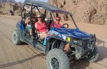 Desert Buggy Ride with Pickup and Guide – From Sharm El Sheikh