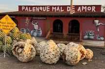 Distillery Tour and Agave Fields by Mal de Amor Mezcal