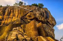 Sigiriya Rock & Cave Temple with Jeep Safari Private Day Trip