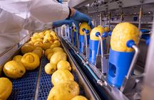 Nonno Mario Sorrento Lemon tour