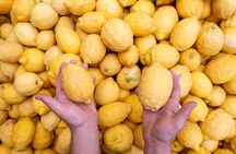 Nonno Mario Sorrento Lemon tour