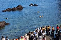 [Private] East Jeju UNESCO & Sea Women: Select EN Guide Level