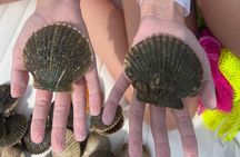 Private Scallop Charter in Crystal River