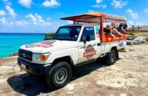 6- Hour Coastal Tour of Barbados with Drinks, Snacks and Lunch