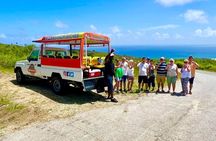 6- Hour Coastal Tour of Barbados with Drinks, Snacks and Lunch