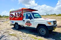 6- Hour Coastal Tour of Barbados with Drinks, Snacks and Lunch