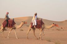 Buggy Ride 30 minutes Desert Safari in Dubai with Dinner & Shows