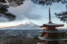 Mt FUJI Day Tour with Private Car and English Speaking Guide
