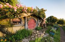 2 Day Tour in Auckland Hobbiton, Waitomo, Rotorua and Taupo