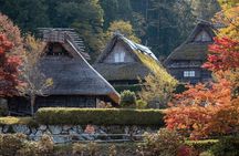 Takayama Private Customizable Half Day Tour