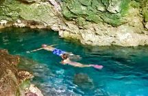 Jozani Forest Kuza Cave The Rock Restaurant and Paje Beach