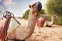 Dubai Desert Trail: Guided Quad/Polaris ATV & Red Dunes Safari
