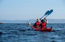 Guided Athens Sea Kayak Temple of Poseidon