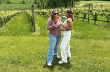 Vineyard and Winery Bus Tour from Metro DC