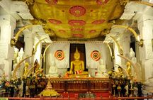 Private All Inclusive Day Tour to Kandy from Colombo and Negombo