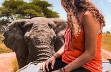 3 Days Safari to Tarangire and Ngorongoro Crater