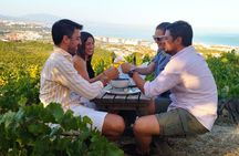 Manilva Oceanfront Wine Experience in the Marbella Area