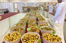 Private Abu Dhabi Sightseeing Tour from Dubai