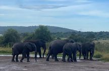 Private one day Game Drive in Akagera National Park with Lunch