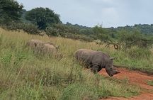 Private one day Game Drive in Akagera National Park with Lunch
