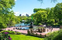 New York City Guided Electric Scooter Tour of Central Park