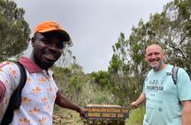 One Kilimanjaro Day hike Tour ISMANI TOURS AND SAFARIS