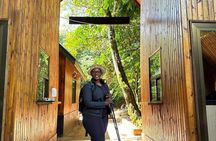 One Kilimanjaro Day hike Tour ISMANI TOURS AND SAFARIS