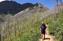 Waterton Bertha Lake Hike
