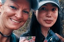 Sedona Healing Experience