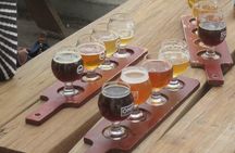 Guided E Bike and Brew Tour of Denver Downtown and Sites