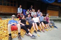Hanoi: 3D2N Mu Cang Chai Visit All Attractions, Trek, Ethnic Life