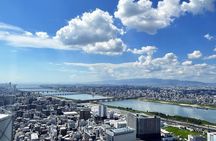  6 Hours Osaka Tour with National Licensed Guide